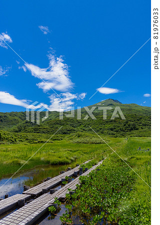 夏の竜ヶ原湿原 夏の竜ヶ原湿原 81976033