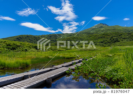 夏の竜ヶ原湿原 夏の竜ヶ原湿原 81976047