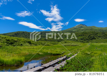 夏の竜ヶ原湿原 夏の竜ヶ原湿原 81976051