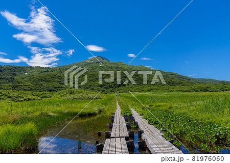 夏の竜ヶ原湿原 夏の竜ヶ原湿原 81976060