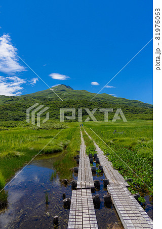 夏の竜ヶ原湿原 夏の竜ヶ原湿原 81976063