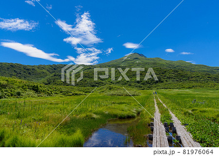 夏の竜ヶ原湿原 夏の竜ヶ原湿原 81976064