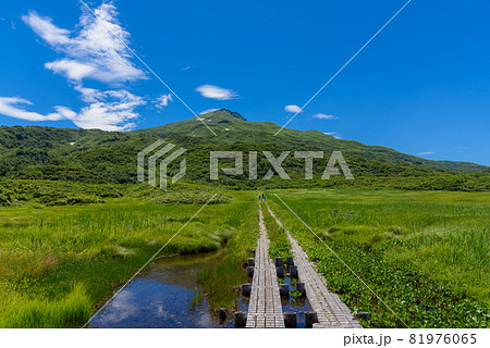 夏の竜ヶ原湿原 夏の竜ヶ原湿原 81976065