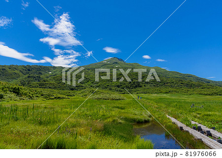 夏の竜ヶ原湿原 夏の竜ヶ原湿原 81976066