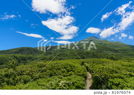 夏の竜ヶ原湿原 夏の竜ヶ原湿原 81976074