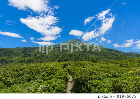 夏の竜ヶ原湿原 夏の竜ヶ原湿原 81976075