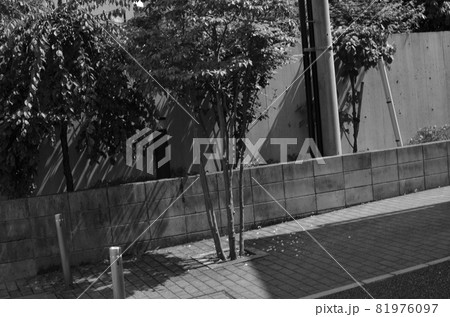 XT-2 81976097