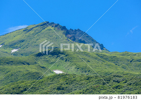 登山口からの山頂 登山口からの山頂 81976183