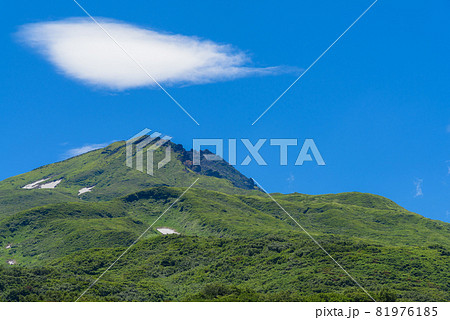 登山口からの山頂 登山口からの山頂 81976185