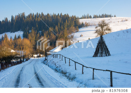 road through village in mountains. beautiful winter scenery in afternoon. rural landscape among forested hills covered in snow road through village in mountains. beautiful winter scenery in afternoon. rural landscape among forested hills covered in snow 81976308