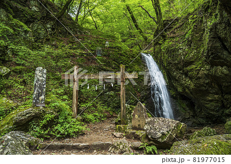 御岳山の「綾広の滝」　夏　【東京都・青梅市】 81977015