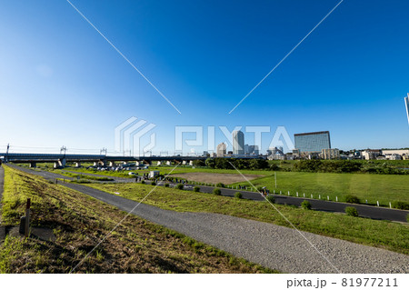 多摩川の河川敷 川崎から二子玉川方面の風景 多摩川の河川敷 川崎から二子玉川方面の風景 81977211