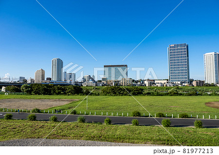 多摩川の河川敷　川崎から二子玉川方面の風景 81977213