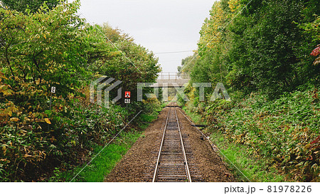 Rail track in Furano, Hokkaido, Japan 81978226