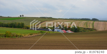 Rural scenery of Furano, Japan 81978240