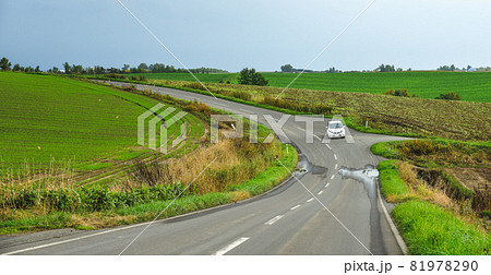 Rural road in Furano, Japan 81978290