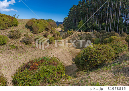 史跡 山中城跡 西櫓堀 81978816