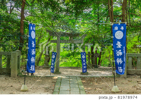 夏の垂裕神社 福岡県朝倉市 夏の垂裕神社 福岡県朝倉市 81978974