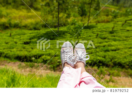 Tourists' legs hanging from the train against the backdrop of green fields 81979252