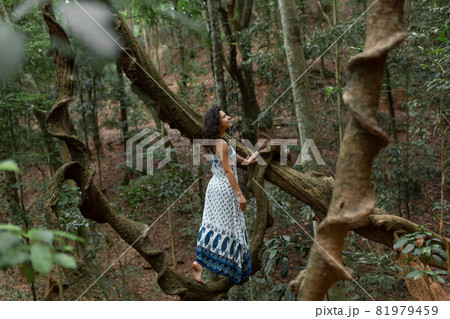 The girl sits on a huge liana tree branch in the jungle The girl sits on a huge liana tree branch in the jungle 81979459