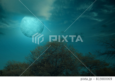 Full moon with dark cloudscapes on the night Full moon with dark cloudscapes on the night 81980069