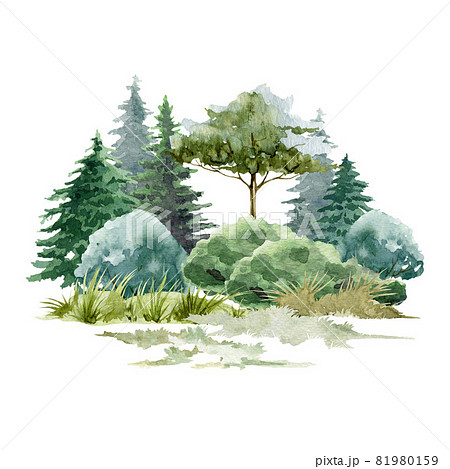 forest drawing background