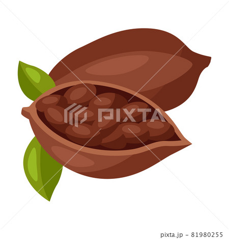 Illustration of chocolate beans. Food item for bars, restaurants and shops. 81980255