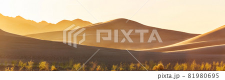 Sand desert Sand desert 81980695