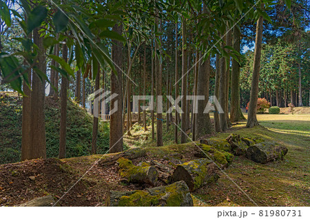 史跡 山中城跡 北の丸跡 81980731