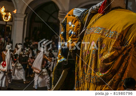 エサラ・ペラヘラ祭（スリランカ・キャンディ） 81980796