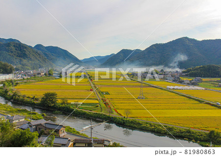 夢前町の田舎で稲刈り前の風景 81980863