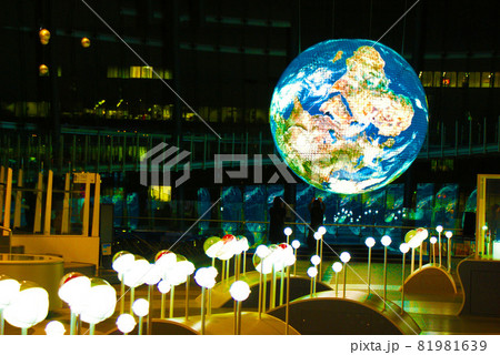 ジオ・コスモス 81981639