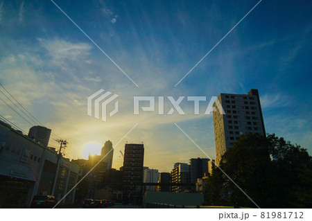 東京都港区の街並みと夕景 81981712