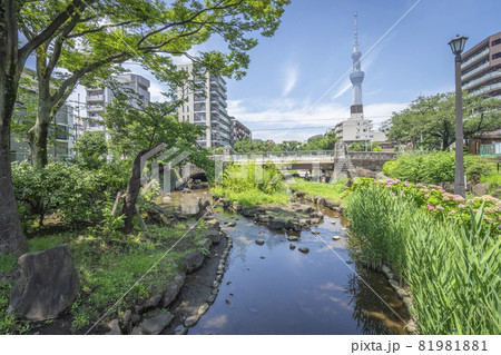 大横川親水公園 大横川親水公園 81981881