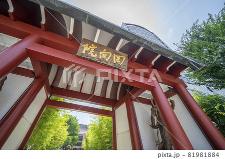 回向院 回向院 81981884