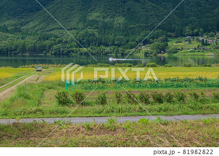 木崎湖【ウェイクボード】 木崎湖【ウェイクボード】 81982822