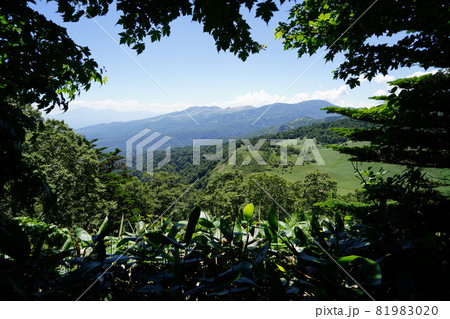 群馬県野反湖 三壁山から高沢山へ向かう登山道の途中 カモシカ平への分岐付近から見えるカモシカ平 群馬県野反湖 三壁山から高沢山へ向かう登山道の途中 カモシカ平への分岐付近から見えるカモシカ平 81983020