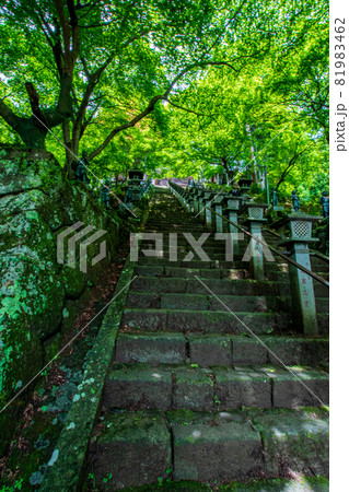 石の階段と緑の木々 81983462