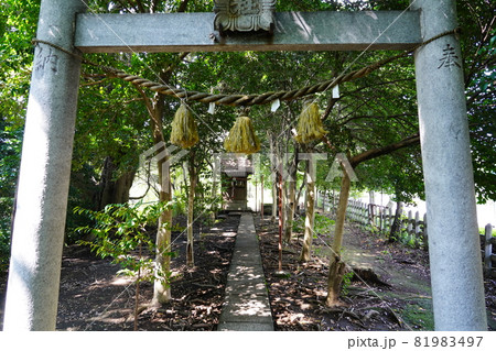 大山祇神社(山の神神社)鳥居 大山祇神社(山の神神社)鳥居 81983497