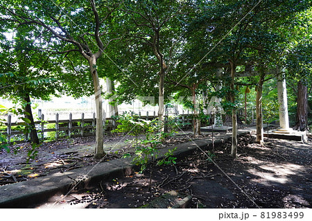 大山祇神社（山の神神社）鳥居 81983499