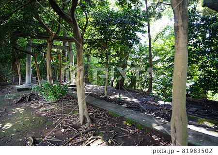 大山祇神社（山の神神社）鳥居 81983502