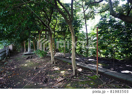 大山祇神社（山の神神社）鳥居 81983503