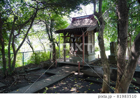 大山祇神社（山の神神社）祠 81983510