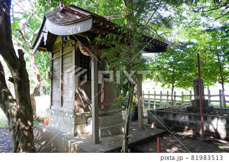 大山祇神社(山の神神社)祠 大山祇神社(山の神神社)祠 81983513