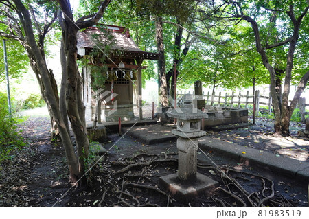 大山祇神社(山の神神社)祠 大山祇神社(山の神神社)祠 81983519