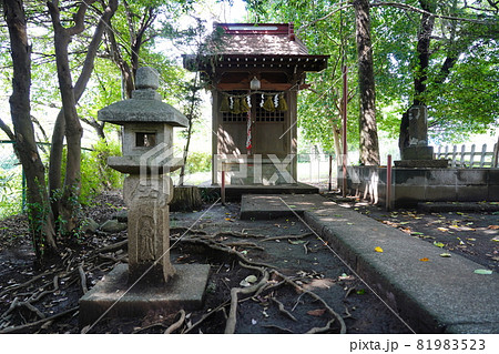 大山祇神社（山の神神社）祠 81983523