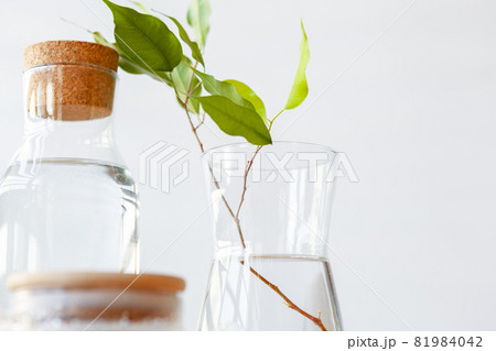 Close up of a glass bottleneck with liquid 81984042