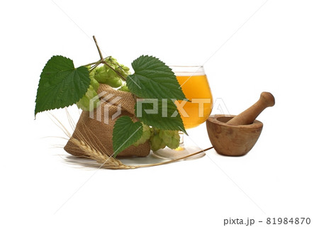 Beer or beverage still life with hops and barley Beer or beverage still life with hops and barley 81984870