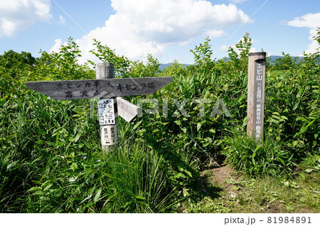 群馬県野反湖 エビ山山頂 群馬県野反湖 エビ山山頂 81984891
