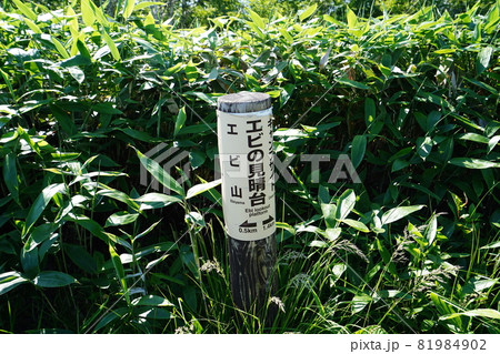 群馬県野反湖 エビ山山頂からキャンプ場に向かう尾根道のエビの見晴台付近にある標識 群馬県野反湖 エビ山山頂からキャンプ場に向かう尾根道のエビの見晴台付近にある標識 81984902